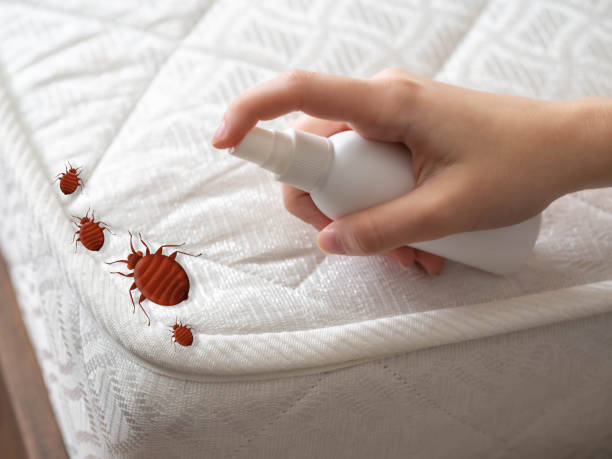 Best Best Pest Control Companies  in Dunes City, OR