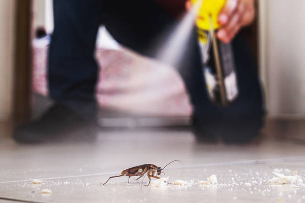 Best Affordable Pest Control Services  in Dunes City, OR